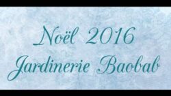 Noël 2016 Jardinerie Baobab Mirecourt