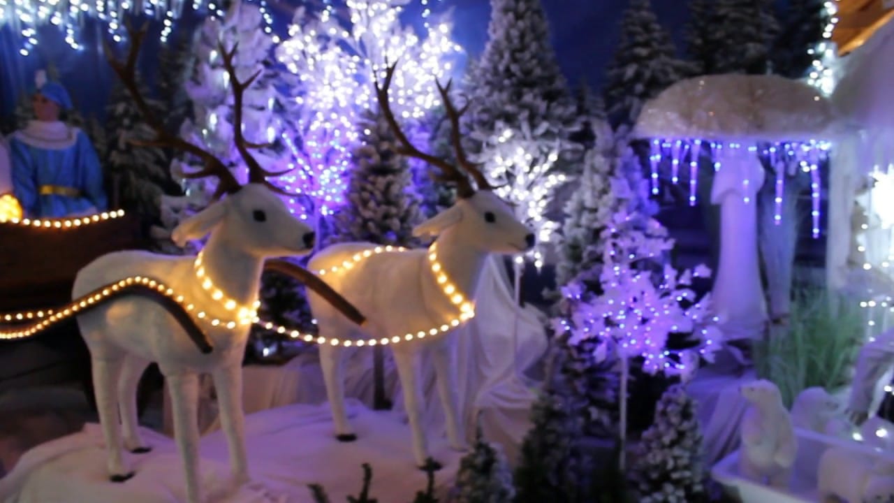 [Vidéo] Noël à la jardinerie Delbard