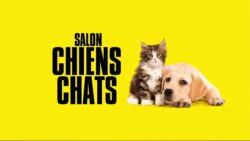 Salon chiens chats 2018 La classe petit