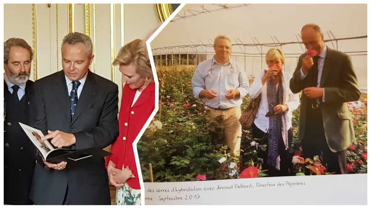 Rose Princesse Astrid de Belgique – Baptême Royal pour les Roseraies Delbard