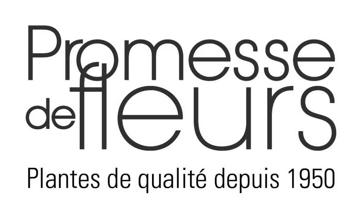 Promesse de fleurs JAF-info Fleuriste