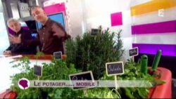 French Garden: Le potager mobile dans l'émission" c'est au programme " sur France2  29/02/12