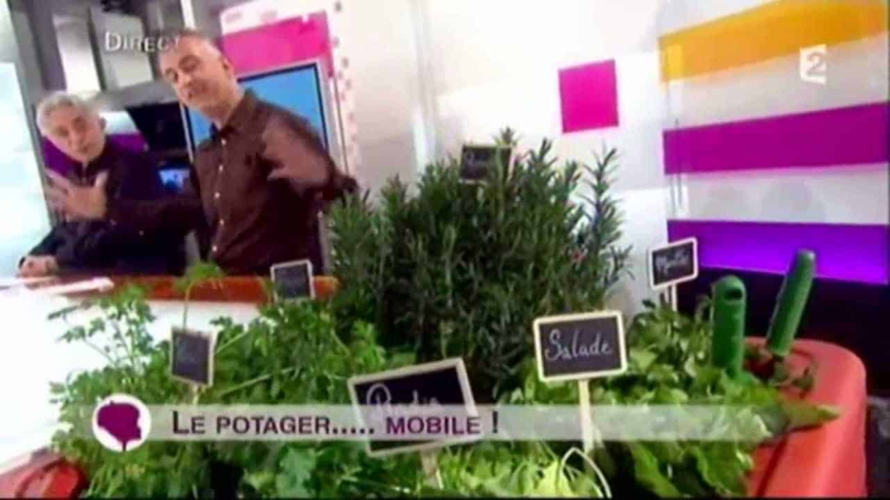 French Garden: Le potager mobile dans l'émission" c'est au programme " sur France2  29/02/12