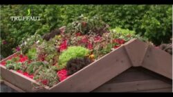 Faire un toit végétalisé soi-même - Jardinerie Truffaut TV