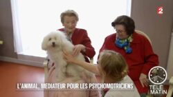 Faune - Une psychomotricienne pour animaux - 2015/10/29