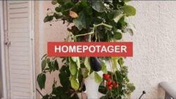 HomePotager - Cultivez en toute simplicité