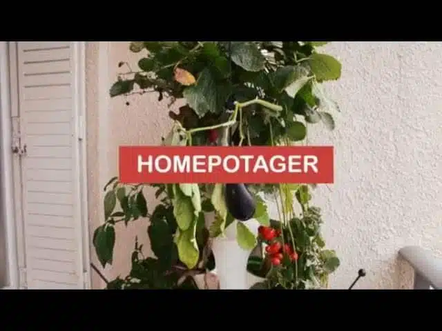 HomePotager - Cultivez en toute simplicité
