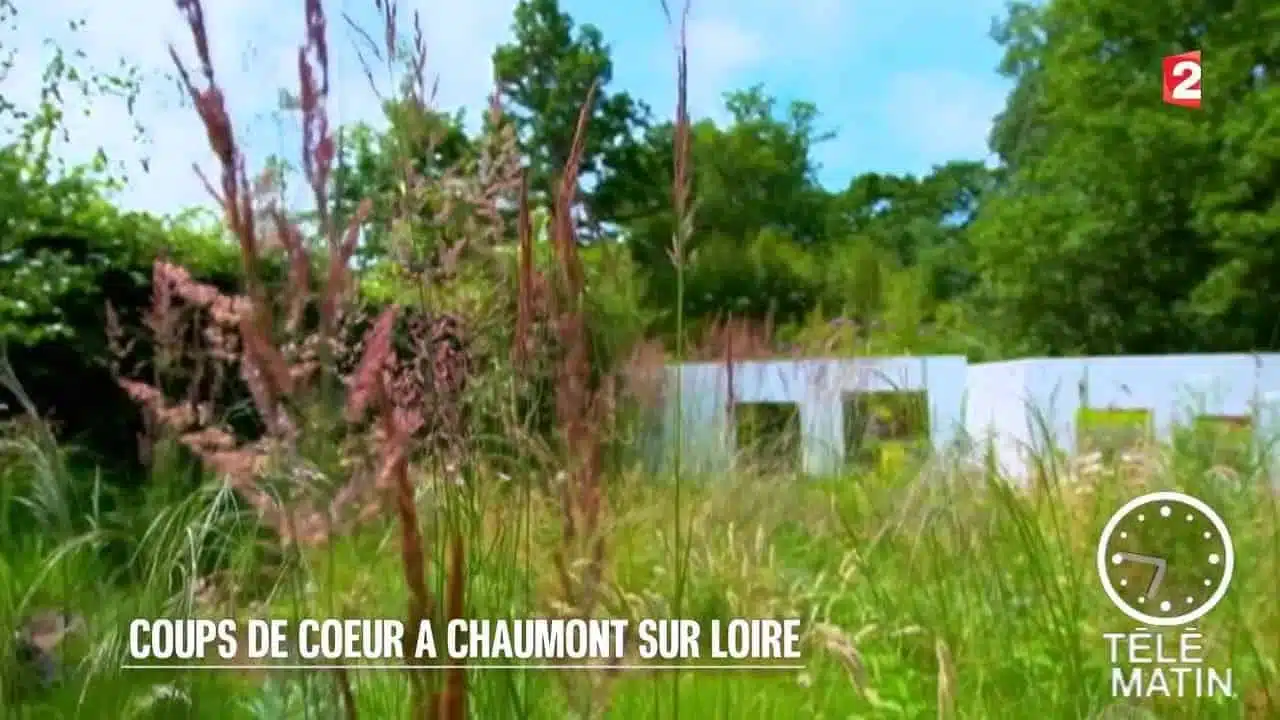 Jardin - Coups de cœur à Chaumont sur Loire - 2015/09/30