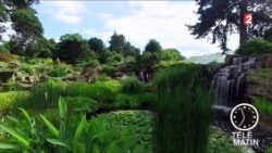 Jardin - Le " Kew Garden" fête ses 250 ans