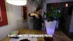 Jardin - Plante connecté, environnement protégé - 2016/02/27