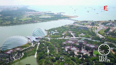 Jardin - Singapour : des plantes sous cloches