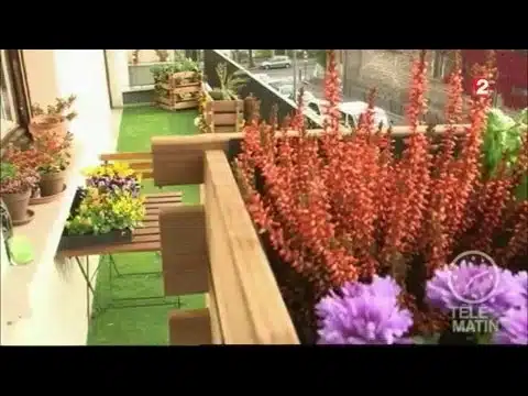Jardin - Superposez vos plantes