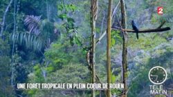 Jardin - Une forêt tropicale en plein cœur de Rouen - 2015/10/07