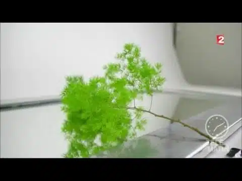 Jardin - Vos plantes en 3D