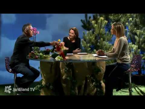 Le langage des fleurs - Jardiland TV - le grand jardin n°1 - 1