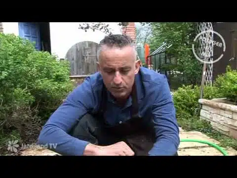 Planter votre potager : étapes et astuces - Jardiland TV - le grand jardin n°3 - 3