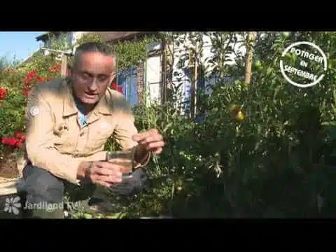 Récolte du potager - Jardiland TV - le grand jardin n°5 - 5