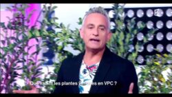 Reportage TV Vente par correspondance et Internet de végétaux Bakker