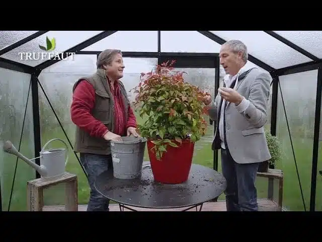 Utiliser un pot Lechuza avec Stéphane Marie -  Jardinerie Truffaut TV