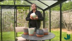 Collection exclusive Les Poteries d'Albi : pots en terre cuite - Jardinerie Truffaut TV
