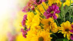 Beautiful-flowers-bouquet-with-yellow-and-purple-green-flower-petals-pictures-HD-Wallpaper-for-your-mobile-phone-tablet-and-laptop-computer-6000x3750-1920x1080
