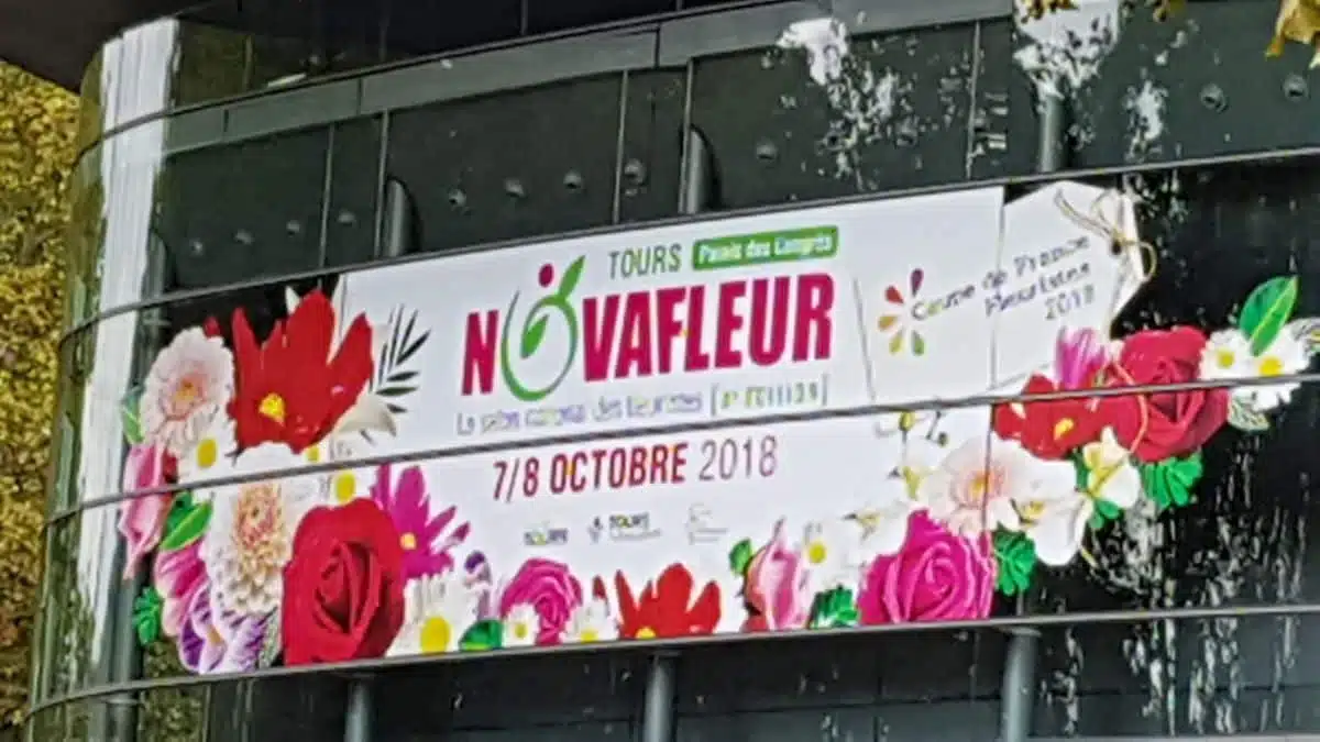 Novafleur 2018 Coupe de France Tours - JAF-info - Fleuriste 20181006-135357-031