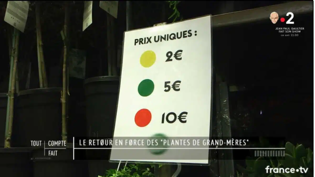 Replay Tout compte fait Consommer «végétal» est ce vraiment la solution France 2 JAF-info Jardinerie