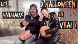 LES ANIMAUX D'HALLOWEEN FEAT CYRUS NORTH -TOOPET