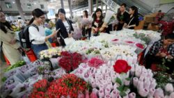 Chine fleurs JAF-info Fleuriste