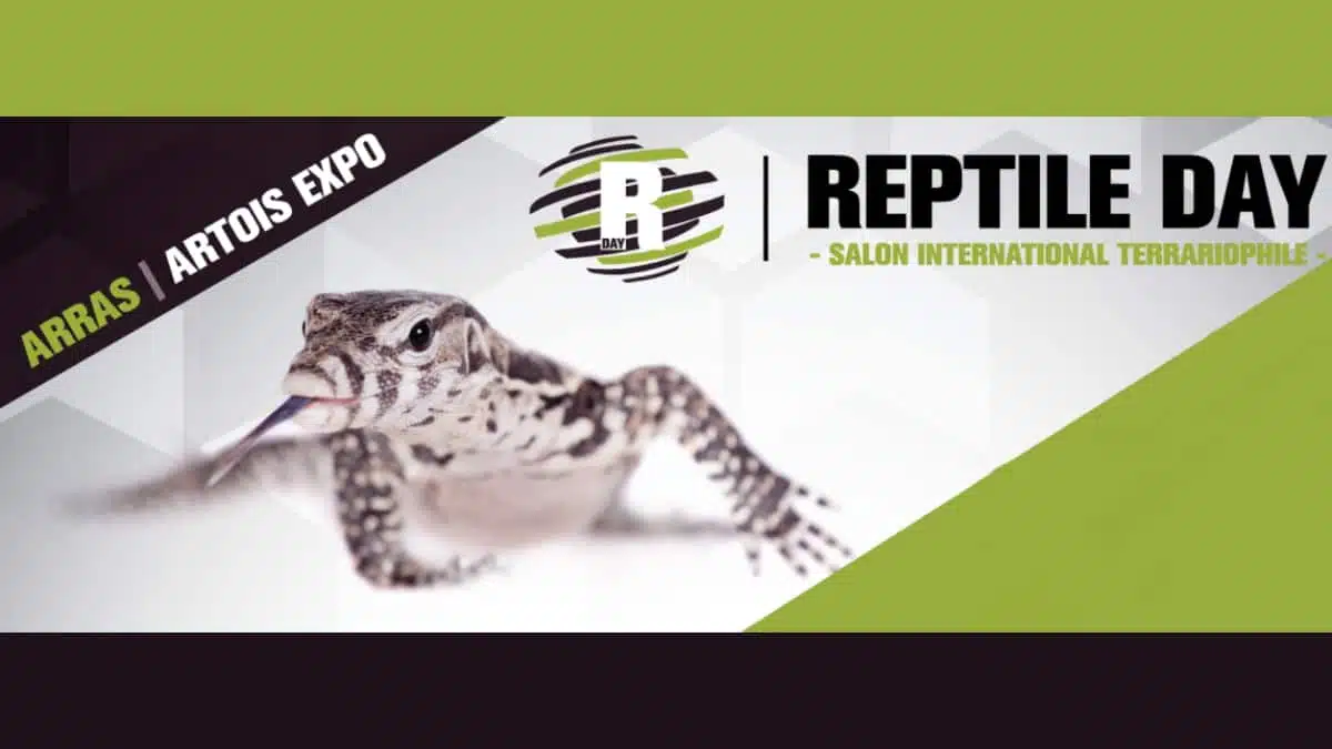 Salon Reptile Day - JAF-info Animalerie