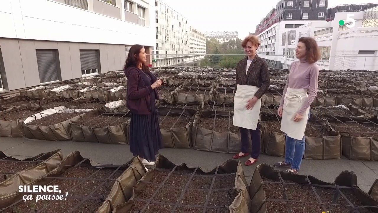 Atelier créatif : du safran sur les toits de Paris