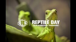 Reptile Day Officiel