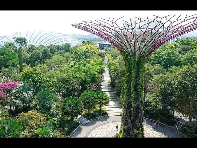VISITE DE JARDINS FUTURISTES À SINGAPOUR