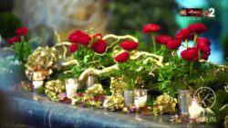 Jardin - Tendances fleuries pour ces fêtes de fin d'année