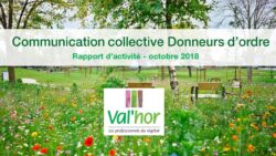 Rapport d'activité VAL'HOR 2017-2018 Communication collective Donneurs d'ordre