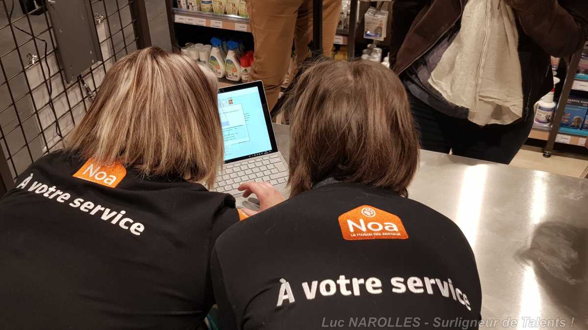 NOA La Maison des Animaux – le concept d’Animalerie du Groupe Invivo Retail