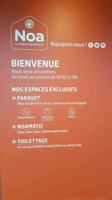 [Photo] NOA La Maison des Animaux - le concept d'Animalerie du Groupe Invivo Retail