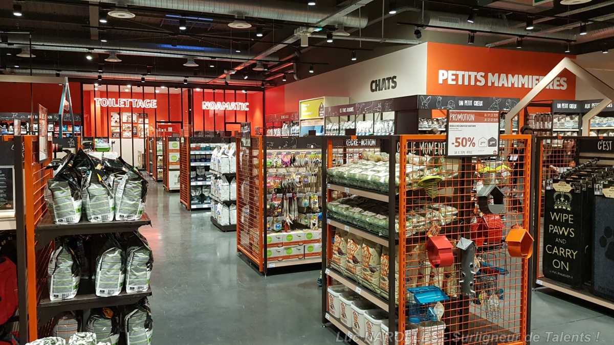 NOA La Maison des Animaux – le concept d’Animalerie du Groupe Invivo Retail