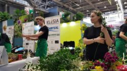 [Photo] Salon de l’agriculture 2019 – Audric RONFORT – Oscar des Jeunes Fleuristes