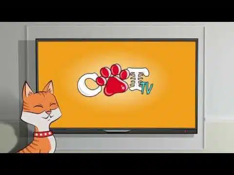 PET SCHOOL- Module 1 - Histoire du chat