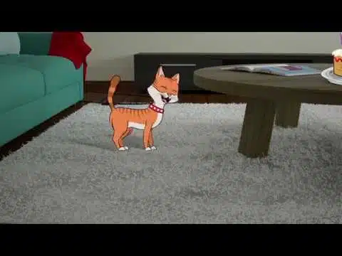 PET SCHOOL- Module 1 - Superpouvoirs du chat