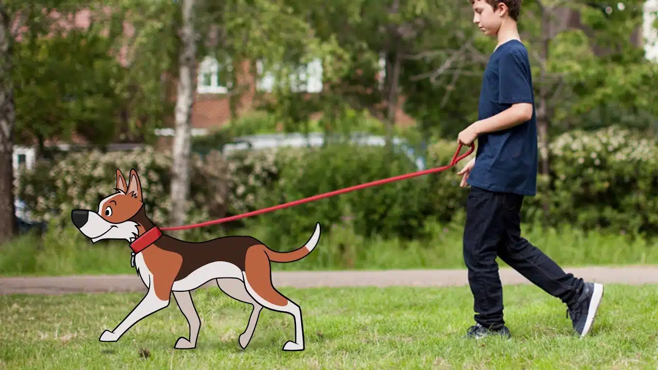 PET SCHOOL- Module 3 - Les exercices du chien