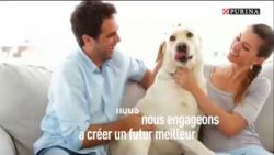 PURINA IN SOCIETY - Nos engagements qui font la différence