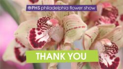 2019 Flower Show Thank You