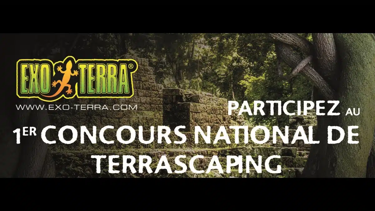 Appel candidature terrascaping EXO TERRA JAF-info Animalerie