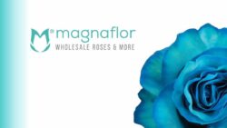 Magnaflor - equateur 2 JAF-info Fleuriste