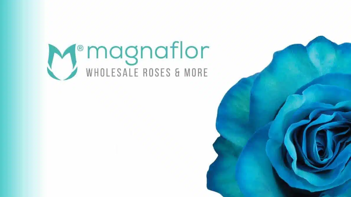 Magnaflor - equateur 2 JAF-info Fleuriste