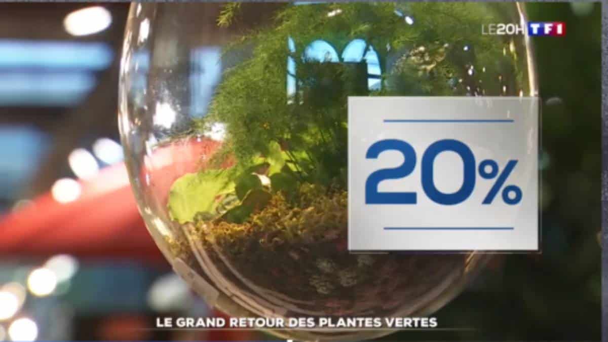 TF1 Grand retour des plantes - JAF-info Jardinerie