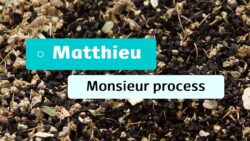 Aventures Potagères - #4 - Matthieu : Monsieur process