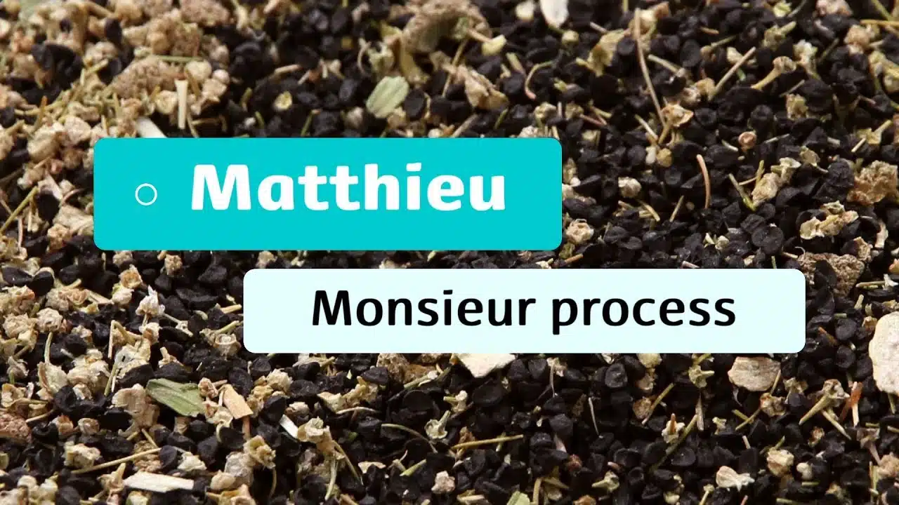 Aventures Potagères - #4 - Matthieu : Monsieur process